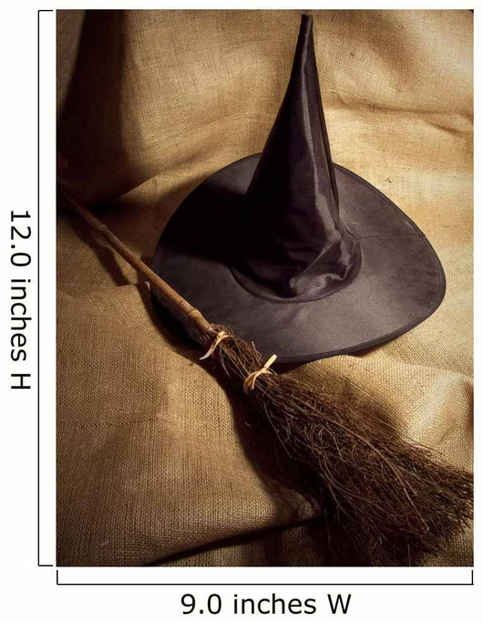 Witch Broom and Hat