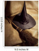 Witch Broom and Hat