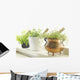 Herbs Wall Mural