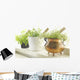 Herbs Wall Mural