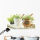 Herbs Wall Mural
