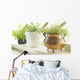 Herbs Wall Mural