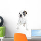Beautiful  Boxer puppy Wall Decal