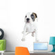 Beautiful  Boxer puppy Wall Decal