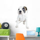 Beautiful  Boxer puppy Wall Decal