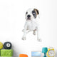 Beautiful  Boxer puppy Wall Decal
