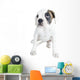 Beautiful  Boxer puppy Wall Decal