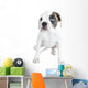 Beautiful  Boxer puppy Wall Decal