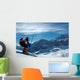 Slalom Ski Racer