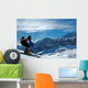Slalom Ski Racer