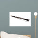Close-up Clarinet