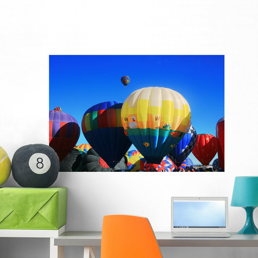 Hot Air Balloons Wall Mural
