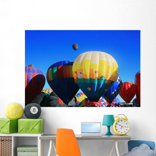 Hot Air Balloons Wall Mural