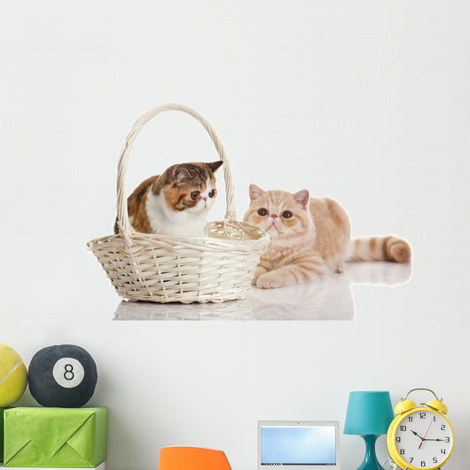 Exotic Shorthair Cats Wall Decal