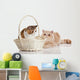 Exotic Shorthair Cats Wall Decal