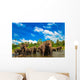 Elephants River Wall Mural