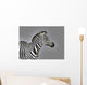 Stripes Wall Mural