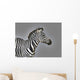 Stripes Wall Mural