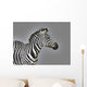 Stripes Wall Mural