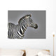 Stripes Wall Mural