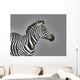 Stripes Wall Mural