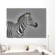 Stripes Wall Mural