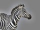 Stripes Wall Mural