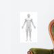 Blank Anatomy Figure Front