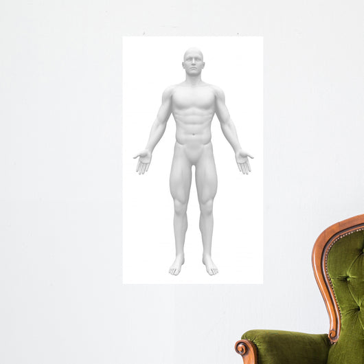 Blank Anatomy Figure Front