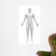 Blank Anatomy Figure Front