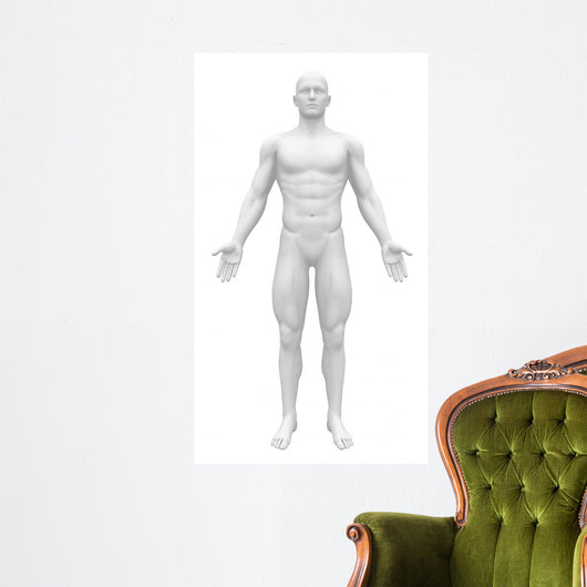 Blank Anatomy Figure Front