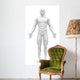 Blank Anatomy Figure Front