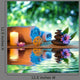 two candles and towels black stones and purple daisy on water Wall Mural
