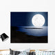 Moonlight with Full Moon