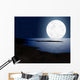 Moonlight with Full Moon