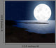 Moonlight with Full Moon