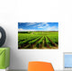 One Tree Hill Vineyard Wall Mural