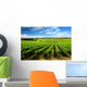 One Tree Hill Vineyard Wall Mural