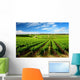 One Tree Hill Vineyard Wall Mural