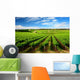 One Tree Hill Vineyard Wall Mural