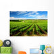 One Tree Hill Vineyard Wall Mural