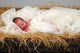 Baby Jesus in Manger Wall Mural