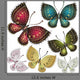 Set fantasy vintage butterfly Wall Decal