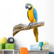 Blue Gold Macaw