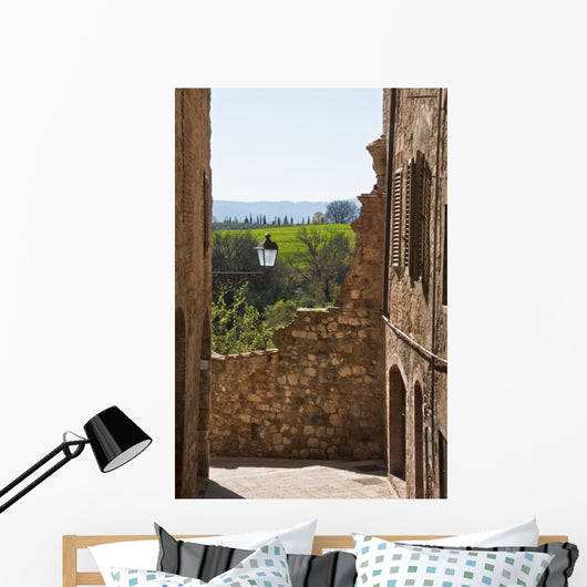 italian village Wall Mural