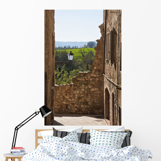 italian village Wall Mural