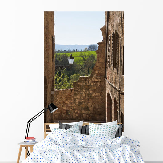 italian village Wall Mural