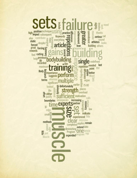 Importance of Sets in Muscle Building Program Wall Mural