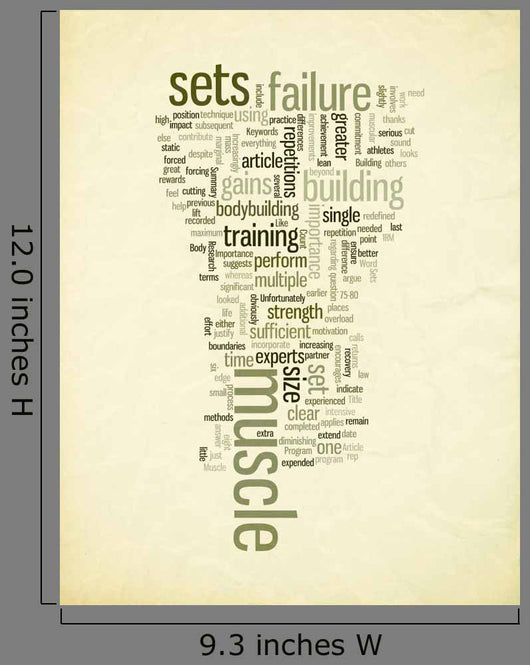 Importance of Sets in Muscle Building Program Wall Mural