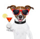 Funny Dog Cocktail